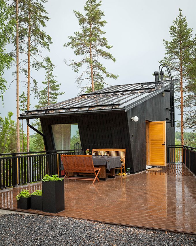 Yksiö metässä#005